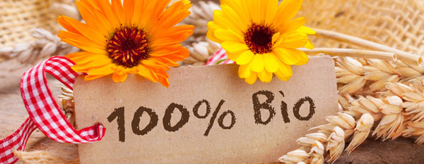 Bio Bild mit Blumen